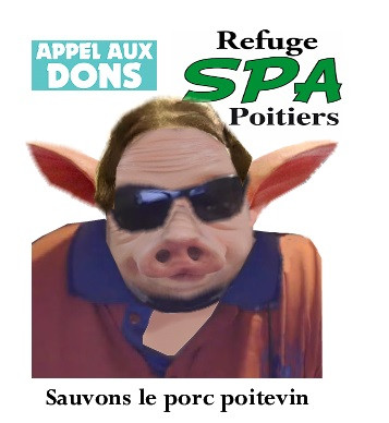 sauvetage animal.jpg