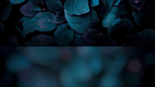 f93256495357f3353e10973cf75969f9.jpg