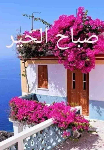 75D7CEFA 5DDF 48F4 BFDB B4B56CCD5C3E.jpg