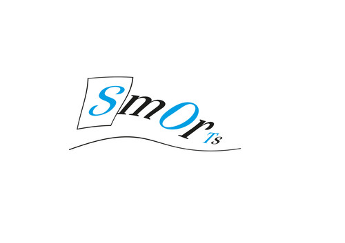 Visual Smorts Logo.jpg