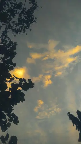 IMG 20231219 175020 257.webp