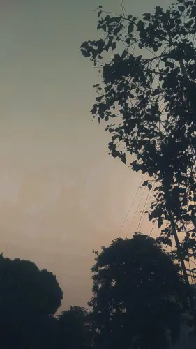 IMG 20231201 174353 901.webp