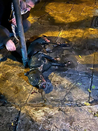 FB IMG 1705051555750.jpg