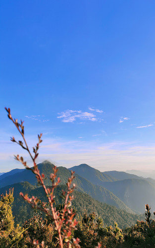 IMG 20201202 145858.jpg