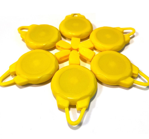 IMG 20240112 170606.jpg