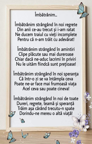 419938864 763381259163837 8944933839334350310 n.jpg