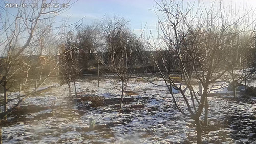 IMG 5910.jpg