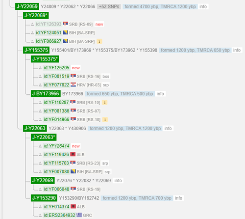 G.png