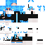 skin 9l1c.png