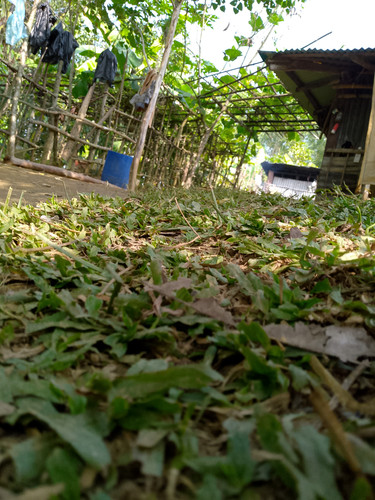 IMG 20240115 130946 320.jpg