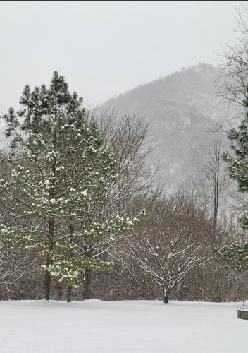 Screenshot 20240115 154520 Gallery.jpg