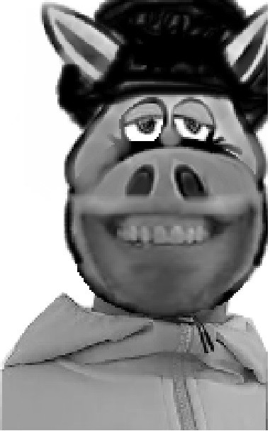 TOP BOURRIN.jpg