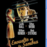 Envuelto en la sombra 