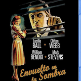 Envuelto en la sombra 