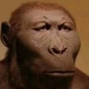 monke serious.png