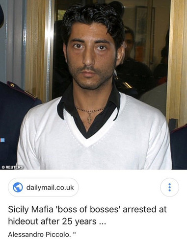 main qimg 52e61a2673a21ece9ffd4a129a41199a lq.jpg