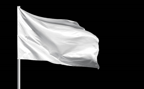 bandeira 1.png