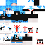 skin ucqa.png