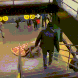 krisa.gif