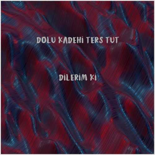 دانلود آهنگ جدید Dolu Kadehi Ters Tut به نام Dilerim ki