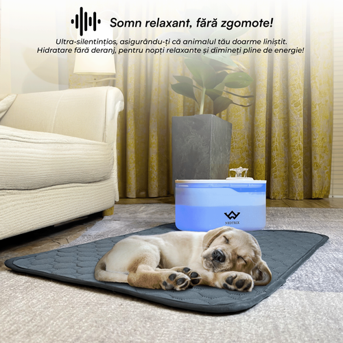 poza prezentare caine.png