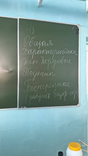 file 1894.jpg