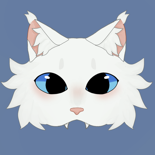 IMG 3831.png