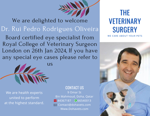 The Veterinary Surgery (3).png