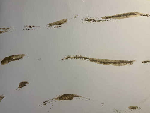 strand tekening.jpg