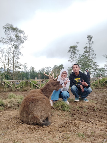 IMG 20220116 145351.jpg