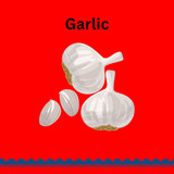 Garlic Red