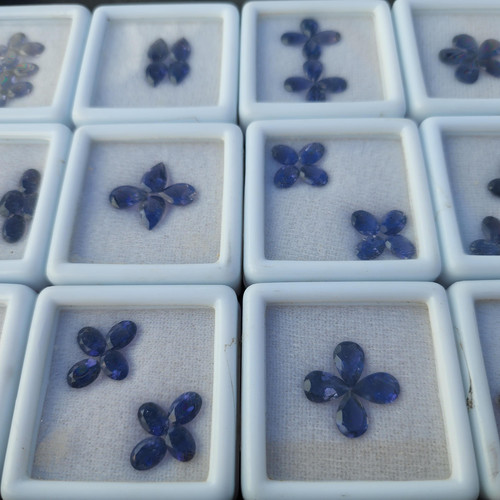 cropped 17051745806331302263026206894183.jpg