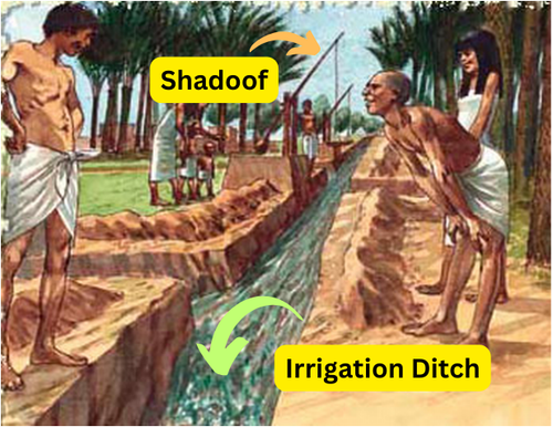 Irrigation Ditch.png