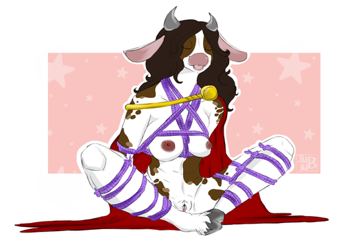 IMG 5428.png