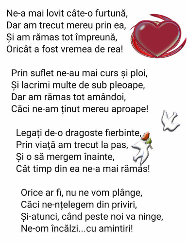 Ne a mai lovit cate o furtuna.jpg