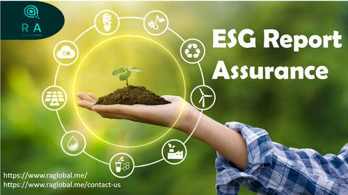 Benefit of a good Sustainability Report Assurance to the company.jpg