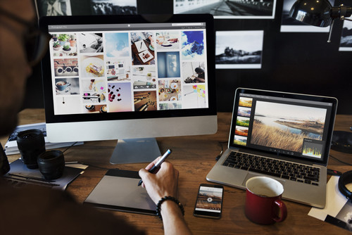 Fertile Frog - Your Expert SEO Company in Leyland and Preston.jpg