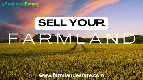 Buy Farmland for sale.jpg