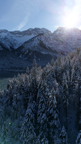 dji fly 20240114 124354 0033 1705237118222 photo.jpg