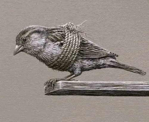 FB IMG 1705134094323.jpg