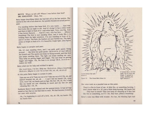 THE ANDREASSON AFFAIRE by Raymond Fowler 0049.jpg