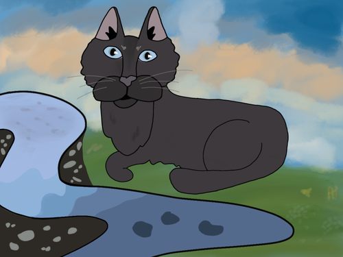 IMG 1675.png