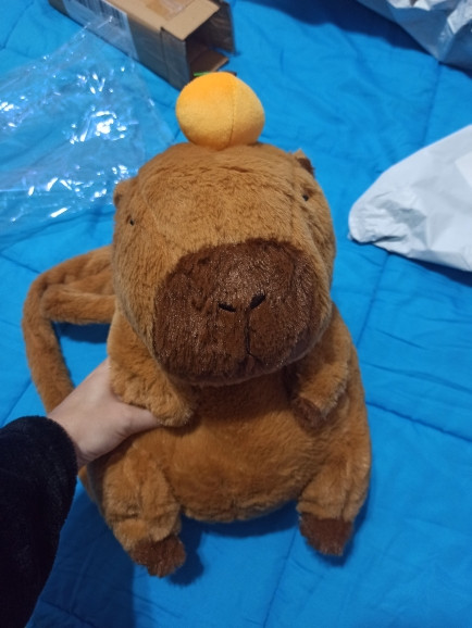 A7b116ba3aea04dff86129c5d444ae1a2b.jpg