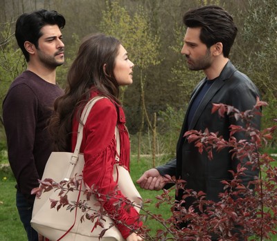 turkish love series.jpg