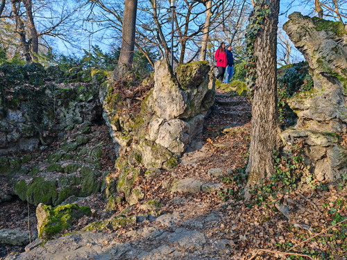 IMG 20240114 141300.jpg