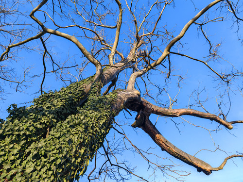 IMG 20240114 142649.jpg