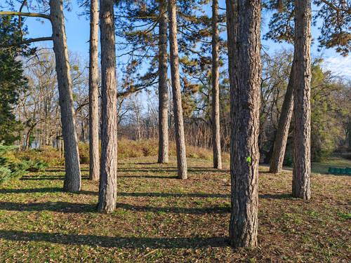 IMG 20240114 141736.jpg