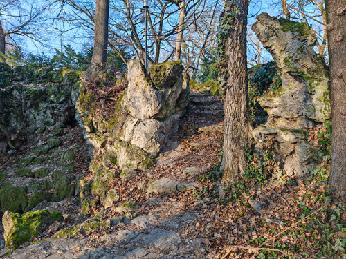 IMG 20240114 141308.jpg