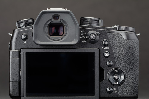 Pany FZ100 II back.jpg