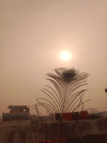 IMG 20240107 WA0016.jpg